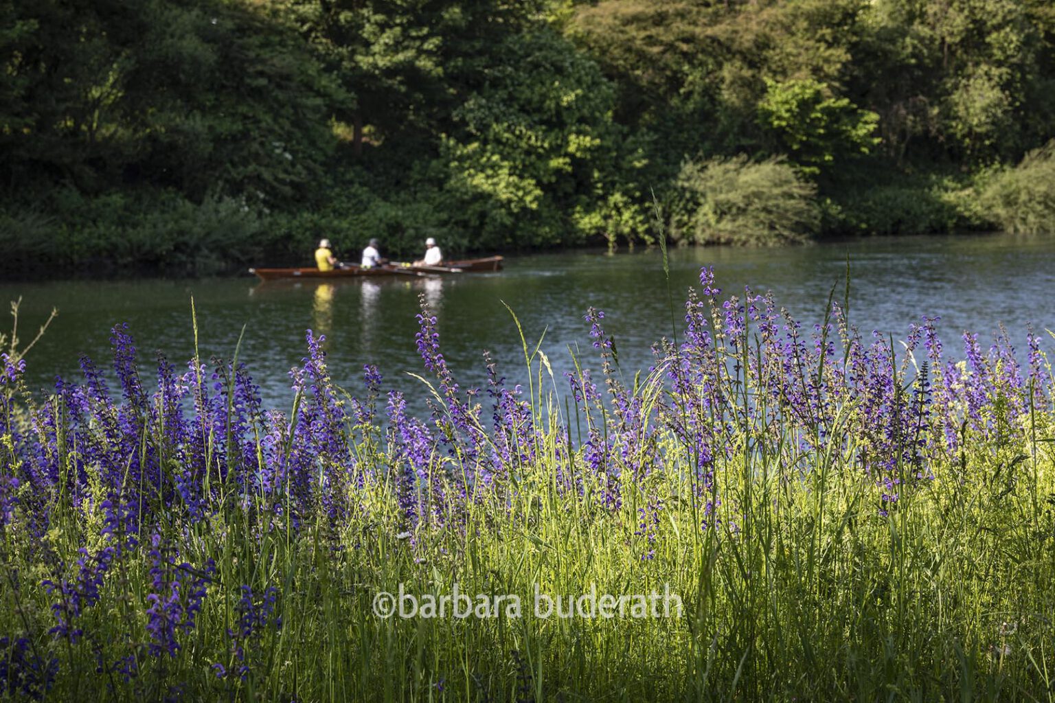 Rudern auf dem Rhein-Herne-Kanal im Frühling