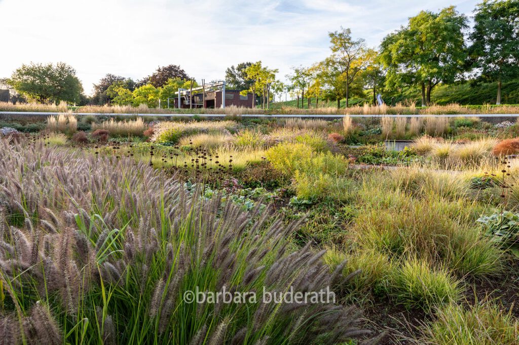 Berne park mit Staudenbeet in Bottrop