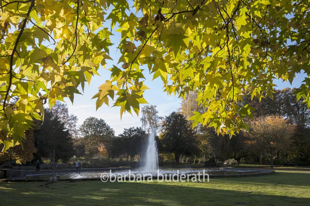 Stadtgarten Bottrop