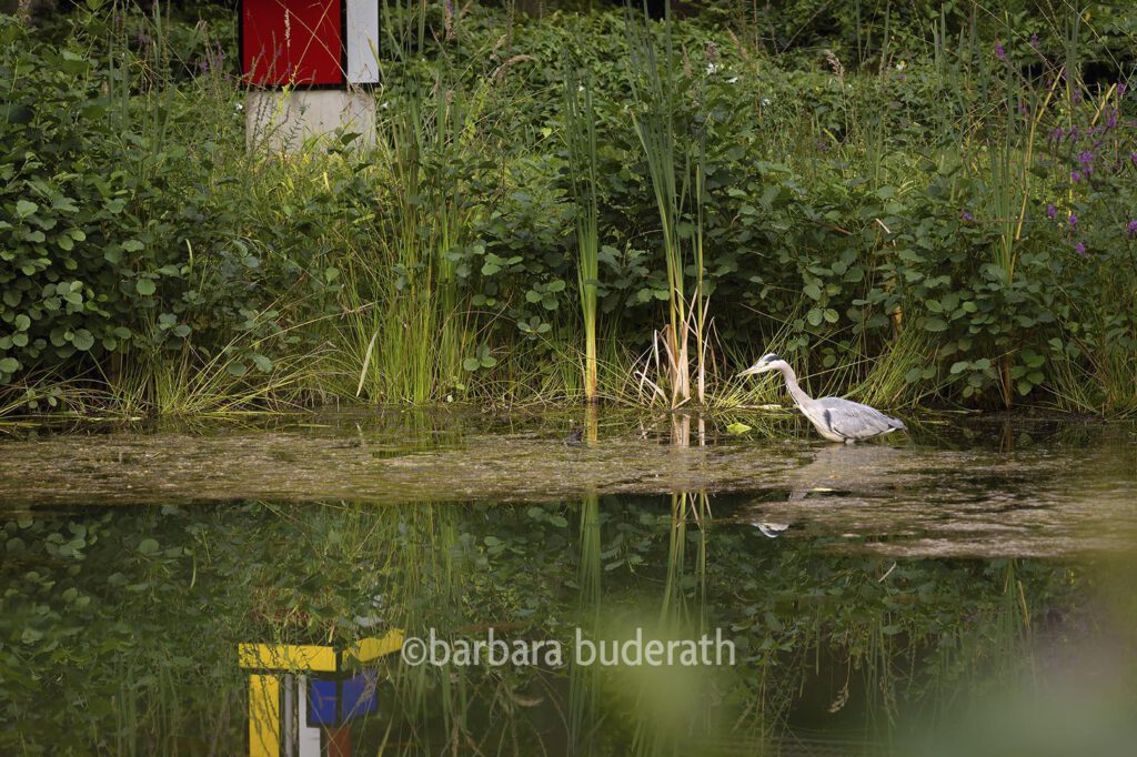 Stadtgarten Bottrop