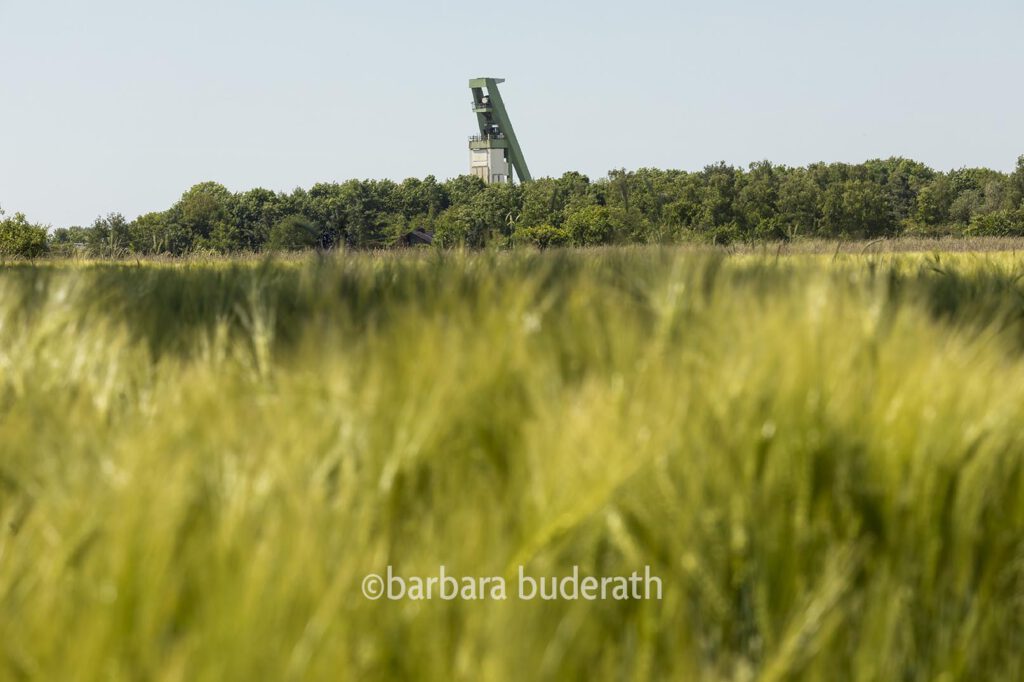 Bergwerk Prosper Schacht 10 Bottrop-Kirchhellen