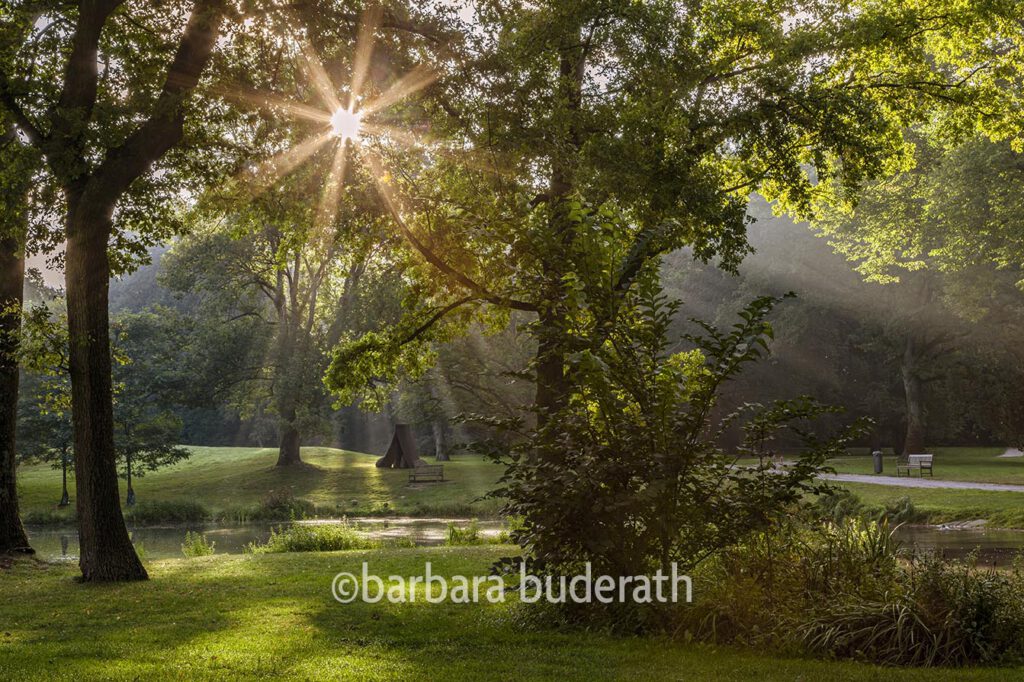 Der Park von Haus Weitmar am frühen Morgen. Ein Sonnenstrahl bricht sich durch das Blätterdach der alten Bäume